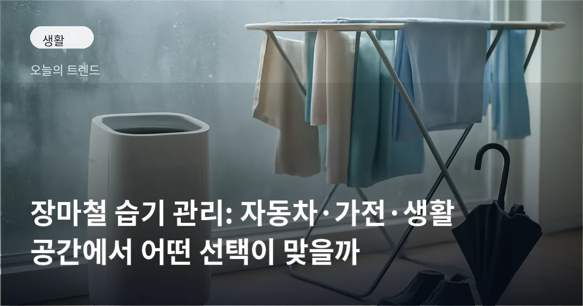 비 내리는 창문 너머로 흐릿하게 보이는 실내에 제습기와 빨래 건조대, 젖은 신발이 놓여 있는 장마철 생활 장면