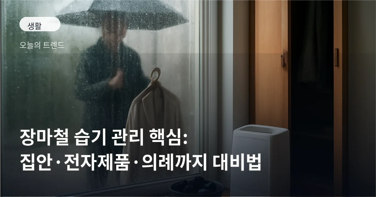 젖은 빨래와 제습기, 숯이 놓인 집 안 모습과 흐릿한 창문 너머의 우산 장면